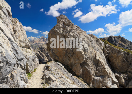 Il sentiero sulla cresta della montagna di San Pellegrino valley, Trentino, Italia Foto Stock