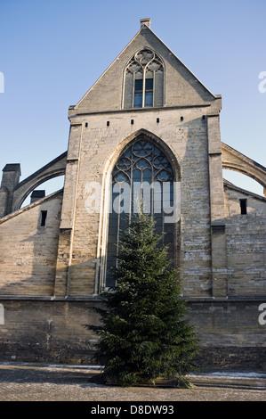 Vecchia chiesa con albero di natale in una fredda giornata di sole in inverno Foto Stock