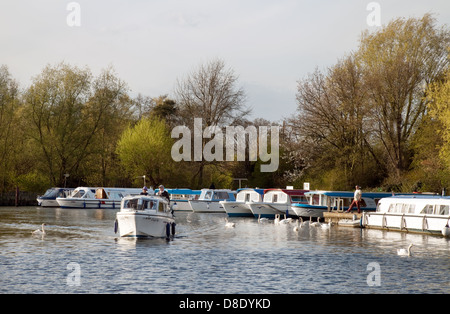 Norfolk Broads - imbarcazioni ormeggiato sul fiume Bure a Wroxham, Norfolk East Anglia, REGNO UNITO Foto Stock