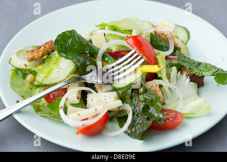 Insalata mista con foglie di verdure e formaggio pecorino Foto Stock