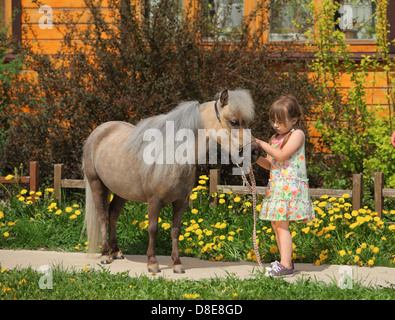 Bambina e i suoi pony Foto Stock