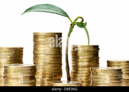 Germoglio verde tra monete, investimenti Foto Stock