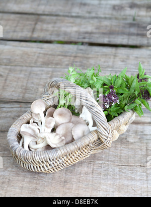 Cesto di funghi, il basilico e le foglie di coriandolo su sfondo di legno Foto Stock