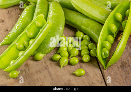 Appena raccolto Sgusciate i piselli verdi Foto Stock