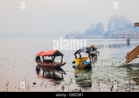 La mattina presto in nageen lago, srinagar, India Foto Stock