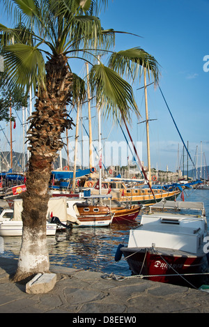 Barche a vela nel porto di Bodrum, Turchia Foto Stock