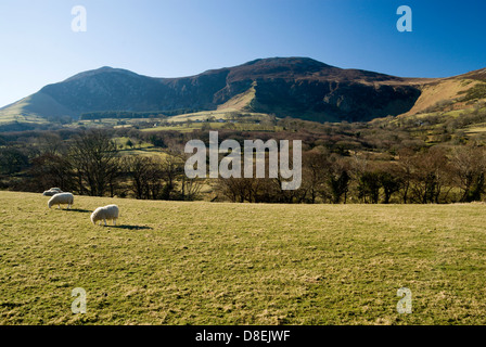 Tre'r Ceiri, Yr Eifl montagne da Trefor, Lleyn Peninsula, Caernarfon, Gwynedd, il Galles del Nord. Foto Stock