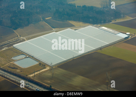 Serra per i peperoni, vicino a Singen, Baden-Wuerttemberg, Germania, Europa Foto Stock