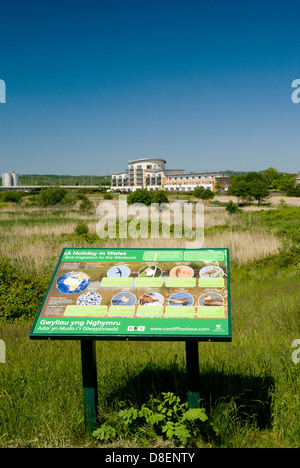 Bacheca, riserva naturale delle paludi, Cardiff Bay Foto Stock