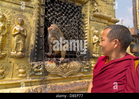 La scimmia e Monaco a Swayambhunath Temple, Kathmandu, Nepal, Asia Foto Stock