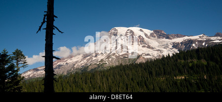 Mt. Ranieri e una densa foresta Parco nazionale dello Stato di Washington Foto Stock