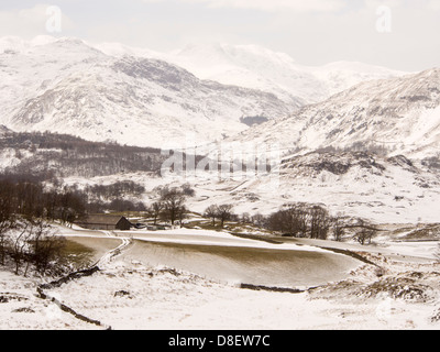 Campi sgommati di neve da forti venti vicino Hawkshead, guardando verso prua cadde, Lake District, UK. Foto Stock