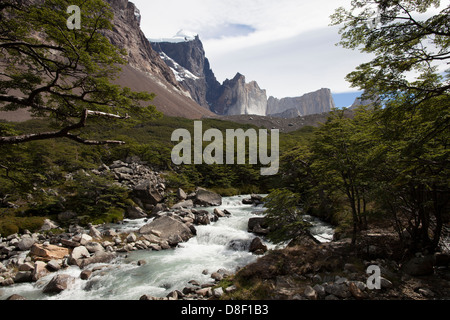 Il fiume scorre attraverso la valle del Frances paesaggio di Torres de Paine Foto Stock