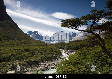 Montagne, foreste e fiumi glaciali visto dal Mirador Frances nel Parco Nazionale Torres del Paine Foto Stock