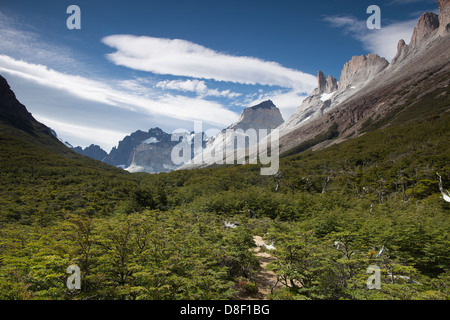 Los Cuernos montagne, foreste e fiumi glaciali visto dal Mirador Frances nel Parco Nazionale Torres del Paine Foto Stock