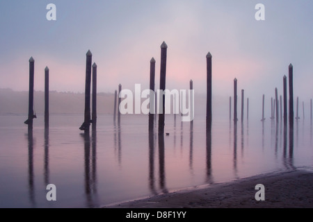 Porto costiero palificazioni in colorate moody sunrise nebbia Foto Stock