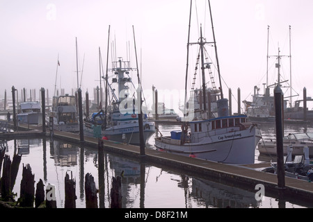 Barche ormeggiate in un moody foggy porto costiero Foto Stock