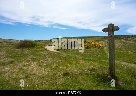 Segno posto sulla via costiera a Bosherston, Pembrokeshire. Foto Stock