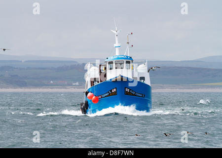 " Lieto Annunzio V' , una delle imbarcazioni che trasportano turisti per le isole farne per l allevamento di colonie di uccelli marini. Foto Stock