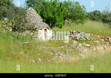 Trulli in primavera, Puglia, Italia Foto Stock