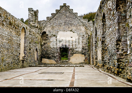 Il ben conservate rovine della grande hall continua a trasmettere la ricchezza e il potere della chiesa medievale, il Palazzo del Vescovo, St David's Foto Stock