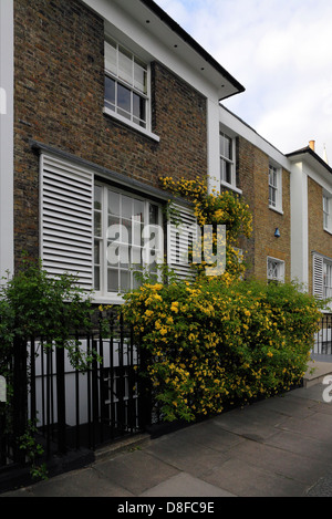 Proprietà in Bloomfield Terrace fuori di Pimlico Road, una tranquilla ed elegante zona vicino a Sloane Square area di Londra. Foto Stock