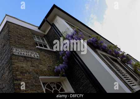 Proprietà in Bloomfield Terrace fuori di Pimlico Road, una tranquilla ed elegante zona vicino a Sloane Square area di Londra. Foto Stock