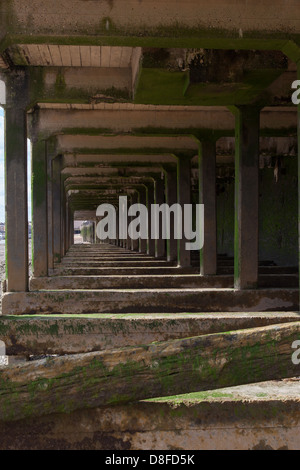 Supporta sotto il Tamigi percorso, foreshore, Thames di Fiume Foto Stock