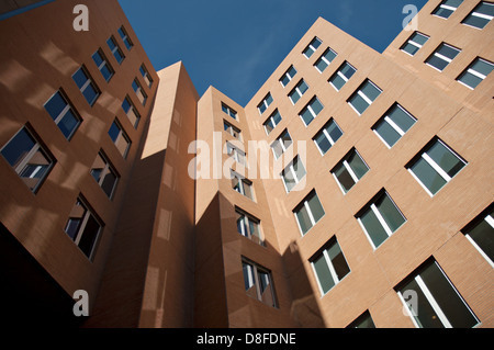 Il raggio e Maria stata Center, progettato dal famoso architetto Frank Gehry , sul campus del MIT di Cambridge, Massachusetts. Foto Stock