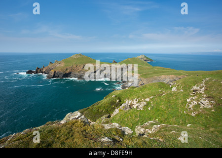 Le groppe, pentire di testa, Cornwall Regno Unito Foto Stock