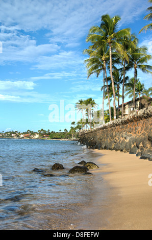 Bellissimo litorale con sponde rocciose e le palme sulla bellissima isola hawaiana di Maui Foto Stock