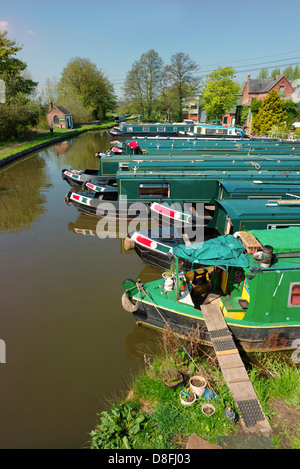 Strette barche ormeggiate in un porto turistico vicino alla Staffordshire e Worcestershire canal a grande Haywood, Staffordshire Foto Stock