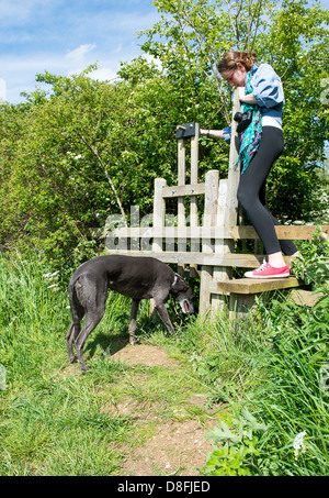 Un cane con un cane friendly stile su un sentiero pubblico Foto Stock