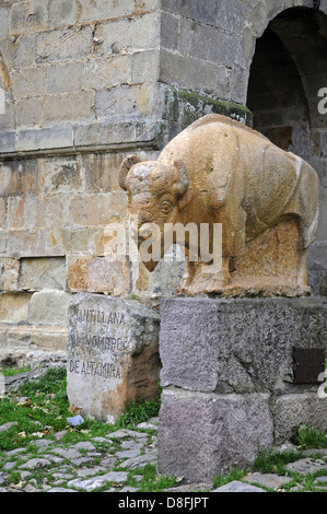 Buffalo Foto Stock