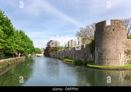 Fossato circostante il medievale Palazzo episcopale di Wells, Somerset, Inghilterra, Regno Unito Foto Stock