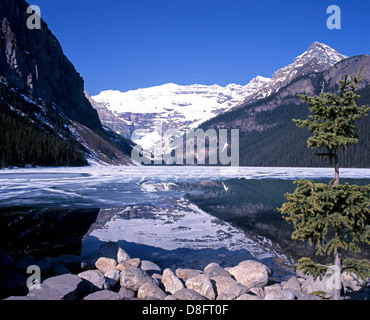 Panorama del Lago Louise verso montagne innevate, il Parco Nazionale di Banff, Alberta, Canadian Rockies, Canada. Foto Stock