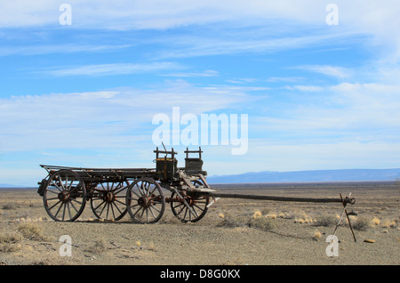 Carro di buoi in Tankwa Karroo Foto Stock