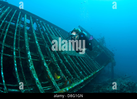 Operatore subacqueo sul naufragio Foto Stock