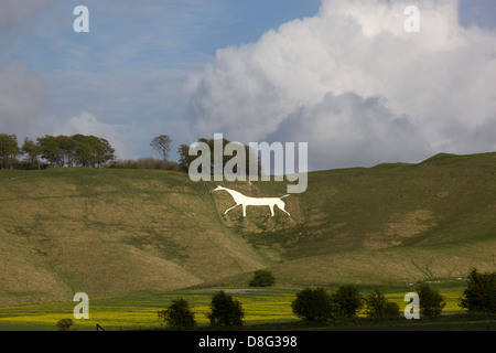 Cherhill White Horse dei campi vicini. Foto Stock