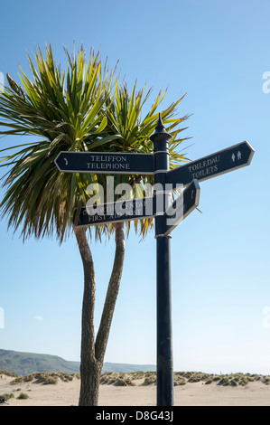 Inglese e gallese, cartello bilingue e palma sulla spiaggia di Barmouth, Galles del Nord. Foto Stock