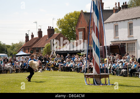 K9 display Dog team a Wellow durante la mayday festival Foto Stock