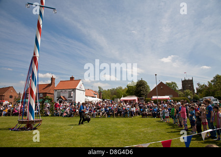 K9 display Dog team a Wellow durante la mayday festival Foto Stock