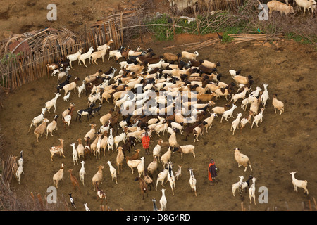 Vista aerea di Rendille capanne del villaggio e del bestiame pens.Kenya Foto Stock