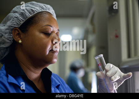 La gente e la scienza, membro del personale sul luogo di lavoro come farmacista facendo il test in laboratorio industriale Foto Stock