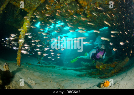 Una femmina di scuba diver esplora l'interno di un relitto vicino a Palm Beach, Florida Foto Stock