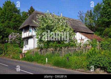 Cottage con il tetto di paglia Pluckley Kent England Regno Unito GB Foto Stock