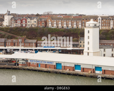 Il mercato del pesce di North Shields nei pressi di Newcastle, Regno Unito. Foto Stock