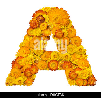 Alfabeto da giallo e fiori d'arancio Foto Stock