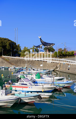 Taiji-cho Wakayama,Taiji museo della balena Foto Stock