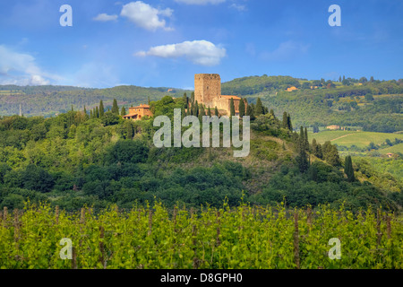 Castello di Arigiano, Montalcino, Toscana, Italia Foto Stock